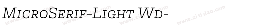 MicroSerif-Light Wd字体转换